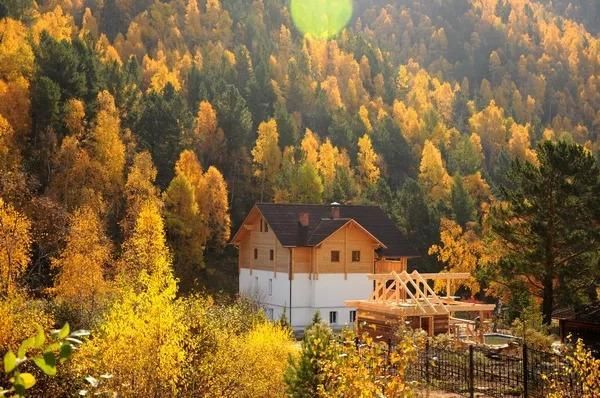 再过半个月，贝加尔湖的秋简直要逼疯摄影师!