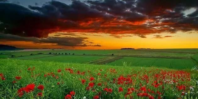 一些拍摄物体风光的技巧