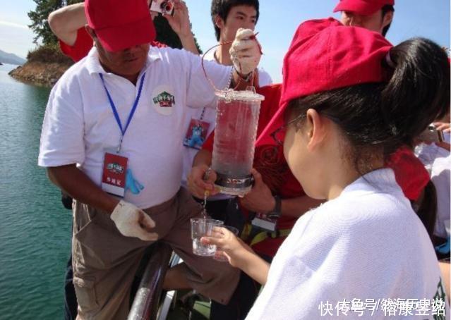 千岛湖被农夫山泉抽了这么多年,为何还没干涸员工透露背后实情
