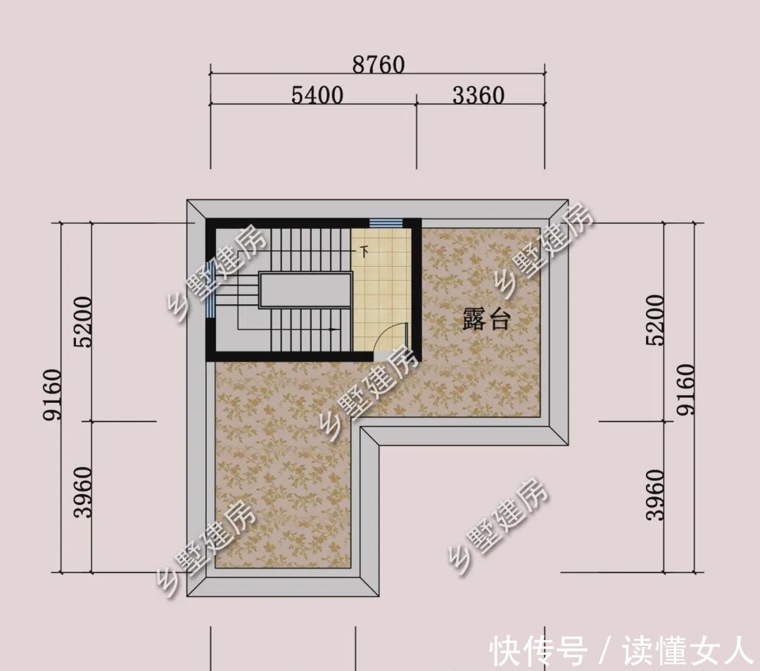  [呼吸功能]兰花最怕怎样的光照记住这5种太阳不要晒，随便养也不会错
