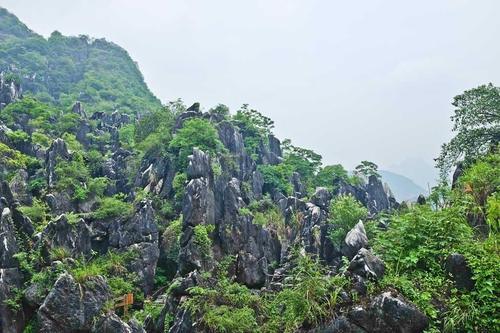 广西最壮观的石林，原生态的风景令人称奇，春节你想去看看吗？