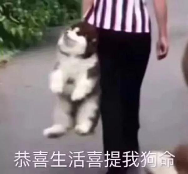 中雨！大雨！大暴雨！2019年第一波冷空气杀到 昆明跌至4℃