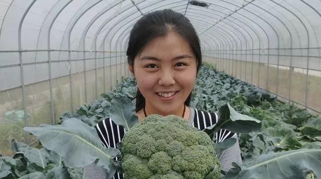  远门■未来几年，农村4个行当将崛起，不出远门就可以赚钱