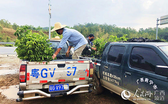  钦州市委组■广西钦州：2400名驻村队员战“疫”又战“贫”