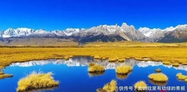 开园仅两天又关闭,四川一景区致歉