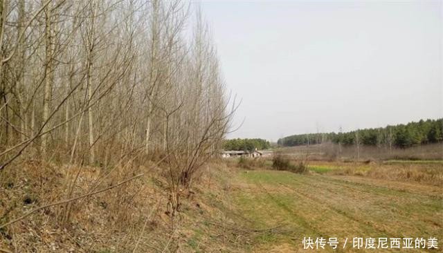  【六十岁】农村承包地期限又延长30年，有些人直到五六十岁都没