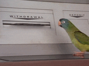 世界最富有的国家,不仅好吃好玩对中国还免签