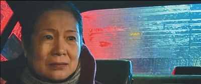 苹果春节短片花费