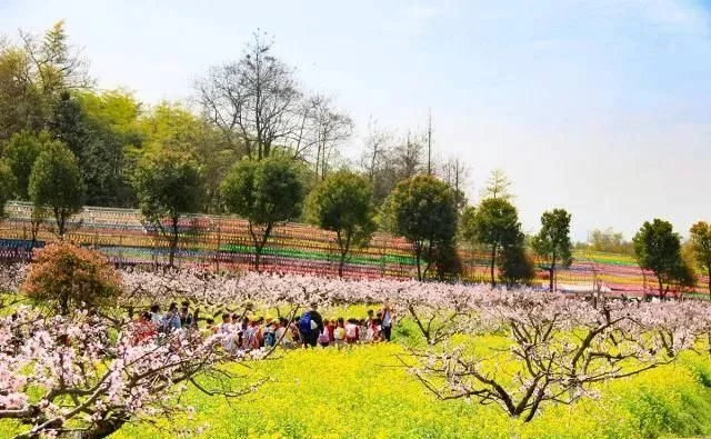 春天深呼吸,安吉来“氧”你!2020年三八女神节,可以来安吉旅游啦【2020热门旅游景点】