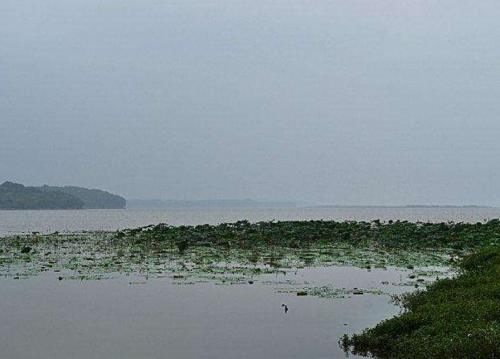 湖南最低调的淡水湖，面积达三千多公顷，仅次洞庭湖！