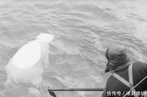 『挪威』纳粹德国“腰刀行动”意义重大,但执行者却成了“最可怜的人”!