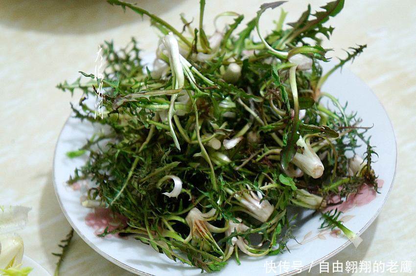 农村风吹满天飞的野草,人称尿床草,是中药材