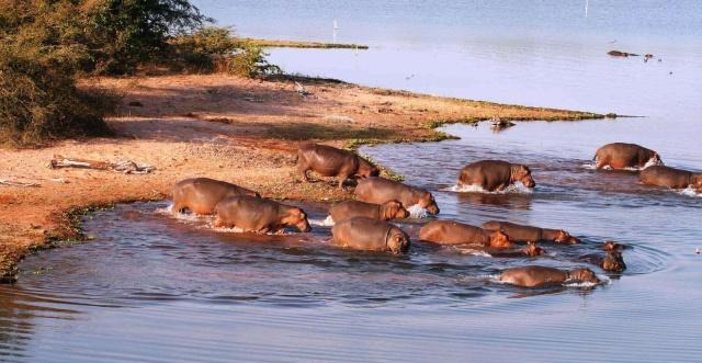世界上最大的水库，最大库容量1850亿立方米，是三峡的4倍多