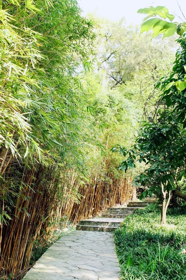  #满园#重庆赏花图鉴桃樱纷飞香满园，悠然春见南山景