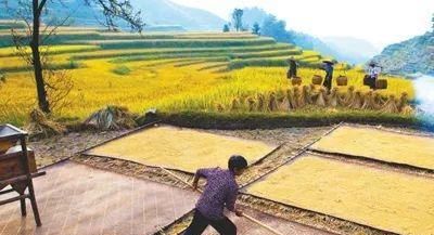  【黄土背】现在的农村，乡亲们还像以往一样“面向黄土背朝天”辛苦劳作吗？