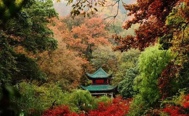 别老想着去日本拍红叶，中国这些地方的红叶也很好看