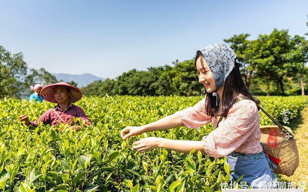 这个国庆长假，来茶叶之乡、六祖惠能故里，感悟茶禅一味