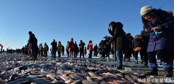 东北查干湖鱼越来越多，当地人为何担忧导游说出气愤原因