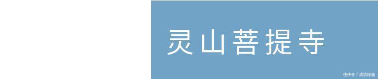 青岛最强旅游攻略——一分钱畅游珠山森林公园