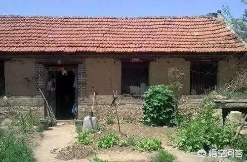 宅基地自愿退出每亩补偿六万块钱，但房屋补偿另算，你还愿意退出