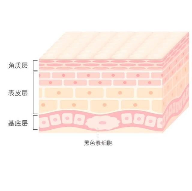  吃法@每天吃一个西红柿，皮肤就能变白？看看女明星们的吃法，普通人嫌寒碜而忽略