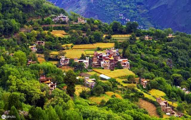 农村现状如何？老农哭泣：连个年轻人的影子都看不到，还怎么发展