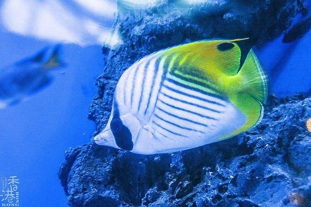 1月好去处,最适合现在出发的4大热门旅行地,附详细线路指南