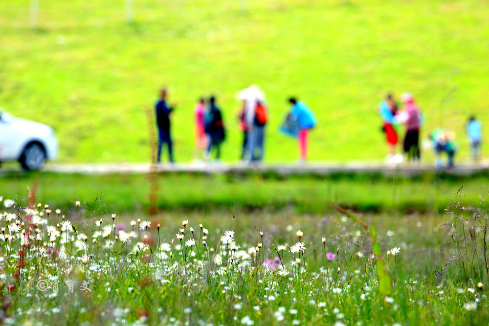 云南这里被评为全国最美地标之一，集雪域高原和大草原的美于一身