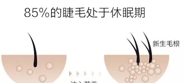  [泽佳]名门泽佳骗局:选对睫毛增长液,柠檬精变身睫毛精