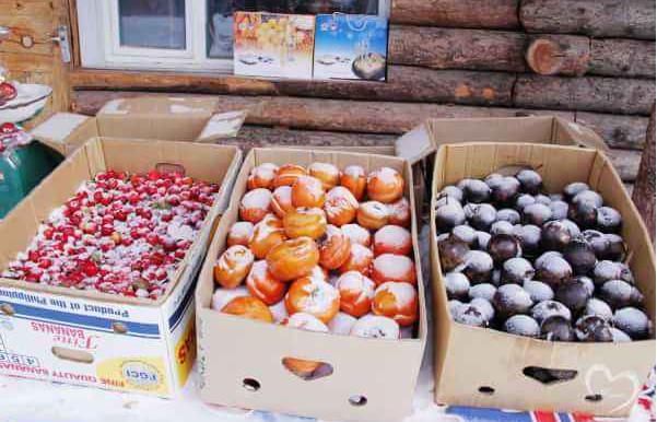 东北雪乡多不简单？水果拿来冻着卖，价格贵到当地人都接受不了！