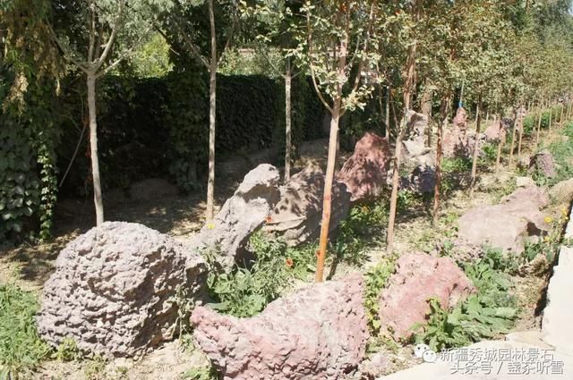 快瞧！这里有乌市最多的景观卵石、火山岩石