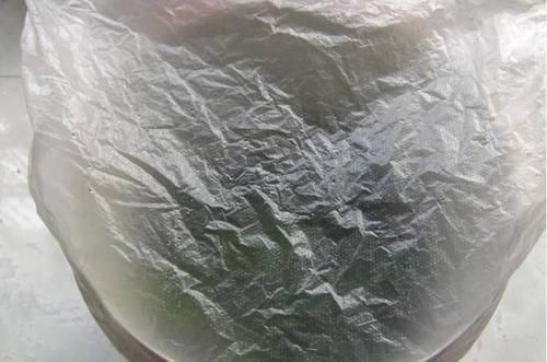  「植物」准备离开植物一段时间，我是这样给植物浇水的