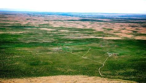 中国“神来之笔”，引入黄河之水将沙漠变绿洲，游客：中国的力量