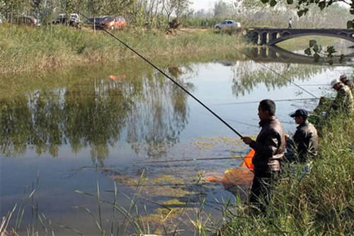  冬季|冬季钓鱼先看天，这些天气出钓，最容易爆护！