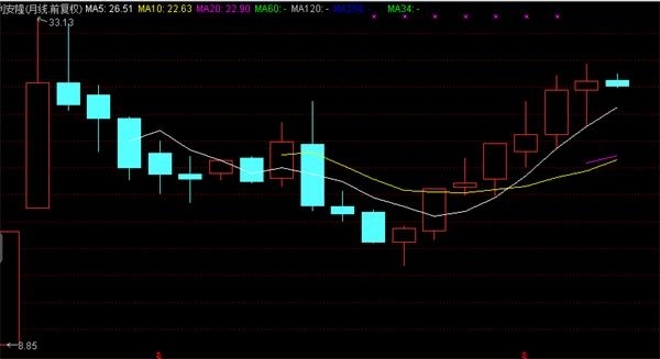 逆市连涨几个月后 这些股票这两天又被主力资金大幅拉升(名单)
