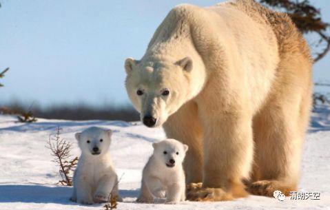 卫生纸做馒头？8月“科学”流言，你中招了吗？