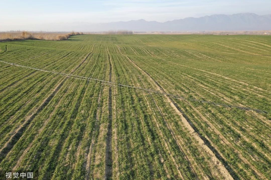  「二轮土地承包到期」【关注】中央定调！这15亿亩土地有明确说