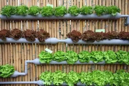 居家:居家打造精致小花园的8种方法,美到极致了!