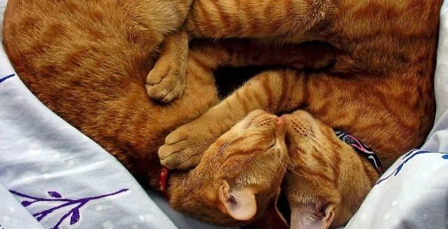  快乐@唯美走心的励志句子，哲理深刻，我们一起体会