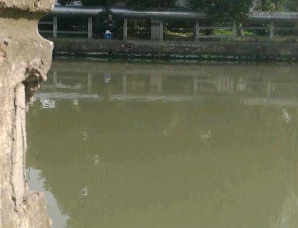  『厉害』遇到了两位老爷子，钓鱼非常的厉害，果然钓鱼高手在民间啊！