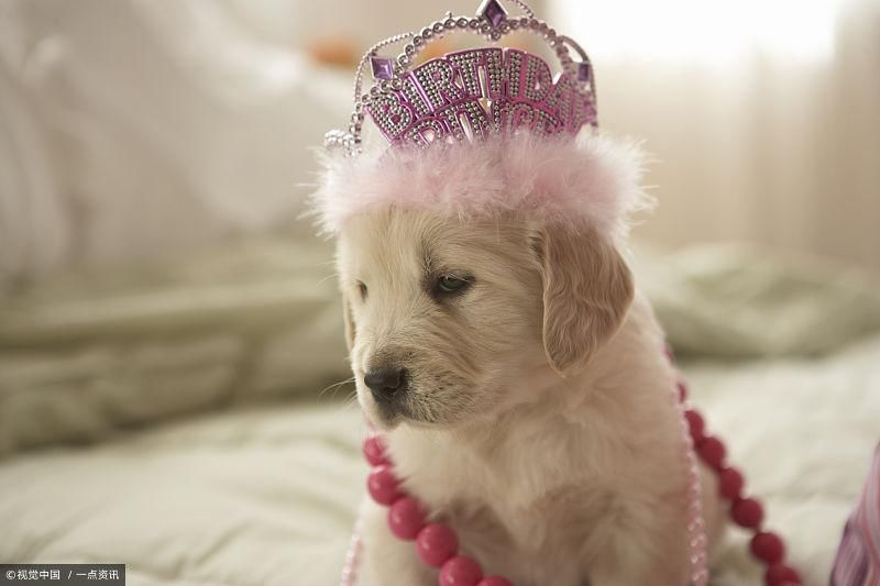 N个月的工资一起发,个税增加了几倍,请不要伤