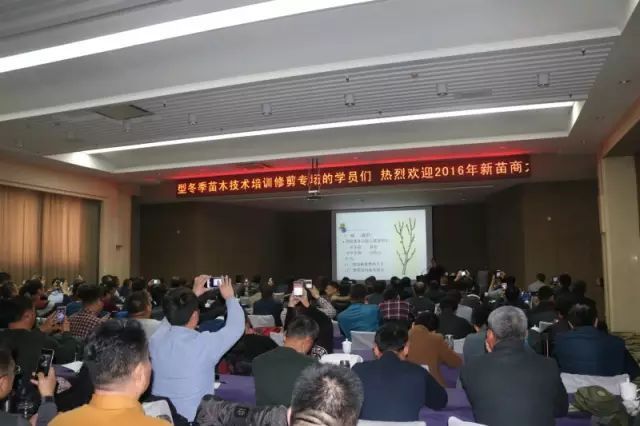庭院深深，中式庭院 · 怡然自得