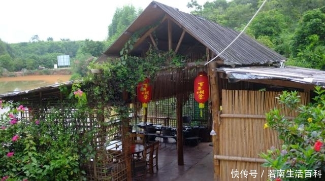  出台■注意了！你家的宅地基这样用还能赚钱！政策已经出台，你