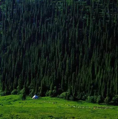 【新疆是个好地方】每一处都值得期 细数最美新疆12景