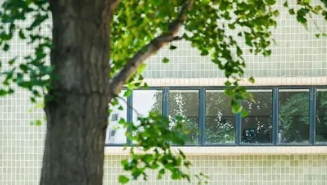  「顶级」孙俪卖的天价房背后，隐藏着顶级白富美的爱恨往事