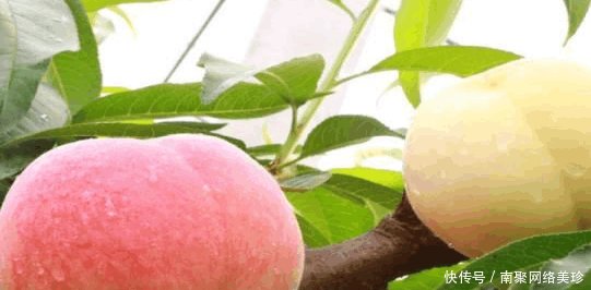 高铁新时代, 江苏的这座小县城厉害了! 有望成为高铁新枢纽!