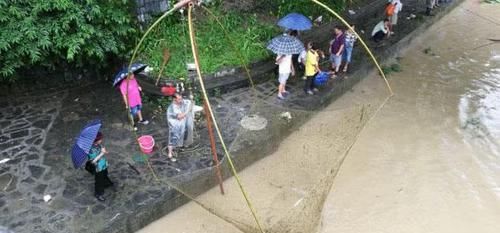  捕鱼■谁曾见过这种捕鱼方式“搬罾”
