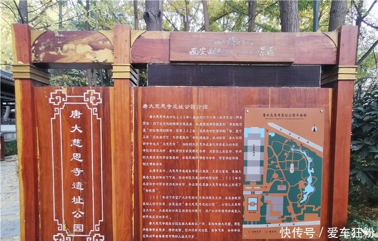 躲在西安闹市里的秘境,看一场银杏黄金雨,看一幅长安秋景图