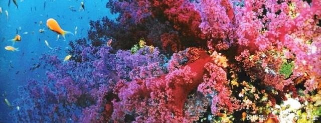 一生必去的30个旅游景点,去过10个以上就是旅行达人!