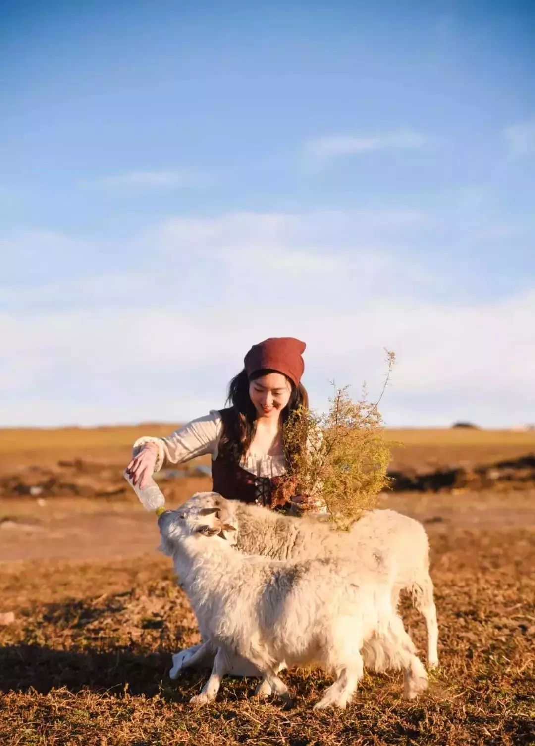 在呼伦贝尔大草原邂逅最美秋天!
